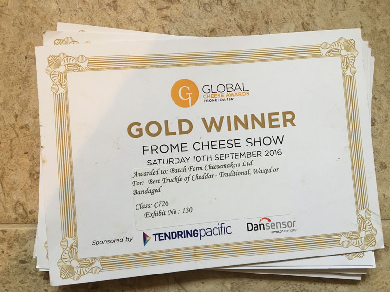 awarded gold at frome cheese show 2016 for traditional cloth bound or waxed truckle