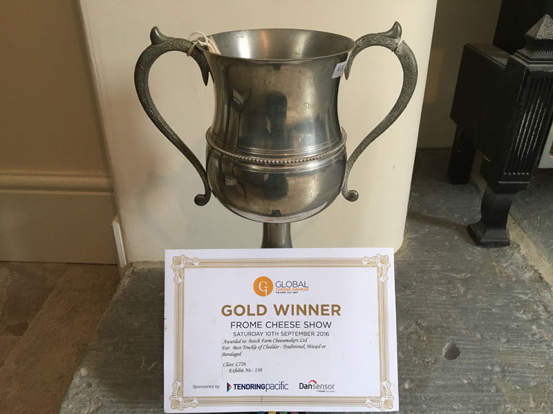awarded gold cup for traditional truckle of cheddar at frome cheese show 2016