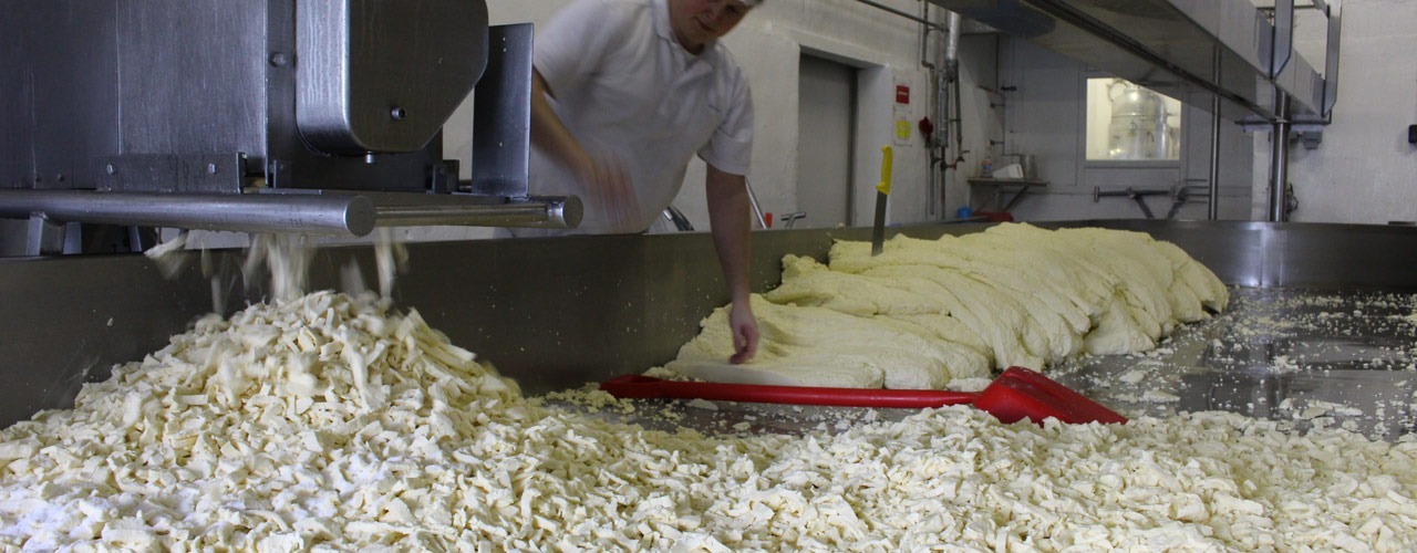 Read more about the article We’re still making and selling cheese